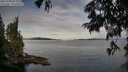 ./images/koeye/fitz-hugh/20250704/fitz-hugh20250704_072508M.jpg