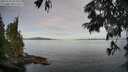 ./images/koeye/fitz-hugh/20250704/fitz-hugh20250704_074511M.jpg