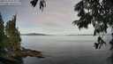 ./images/koeye/fitz-hugh/20250704/fitz-hugh20250704_075010M.jpg