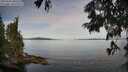 ./images/koeye/fitz-hugh/20250704/fitz-hugh20250704_080508M.jpg