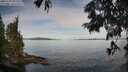 ./images/koeye/fitz-hugh/20250704/fitz-hugh20250704_081511M.jpg