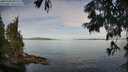 ./images/koeye/fitz-hugh/20250704/fitz-hugh20250704_082011M.jpg