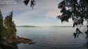 ./images/koeye/fitz-hugh/20250704/fitz-hugh20250704_082510M.jpg