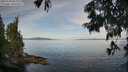 ./images/koeye/fitz-hugh/20250704/fitz-hugh20250704_083010M.jpg