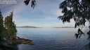 ./images/koeye/fitz-hugh/20250704/fitz-hugh20250704_083510M.jpg