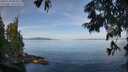 ./images/koeye/fitz-hugh/20250704/fitz-hugh20250704_084509M.jpg