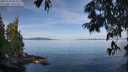 ./images/koeye/fitz-hugh/20250704/fitz-hugh20250704_085010M.jpg