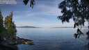 ./images/koeye/fitz-hugh/20250704/fitz-hugh20250704_085508M.jpg