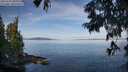 ./images/koeye/fitz-hugh/20250704/fitz-hugh20250704_090012M.jpg