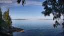 ./images/koeye/fitz-hugh/20250704/fitz-hugh20250704_091512M.jpg