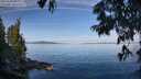 ./images/koeye/fitz-hugh/20250704/fitz-hugh20250704_092011M.jpg