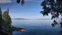 ./images/koeye/fitz-hugh/20250704/fitz-hugh20250704_092509M.jpg