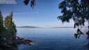 ./images/koeye/fitz-hugh/20250704/fitz-hugh20250704_093011M.jpg