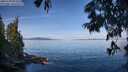 ./images/koeye/fitz-hugh/20250704/fitz-hugh20250704_093507M.jpg