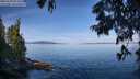 ./images/koeye/fitz-hugh/20250704/fitz-hugh20250704_094509M.jpg