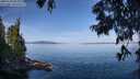 ./images/koeye/fitz-hugh/20250704/fitz-hugh20250704_095007M.jpg