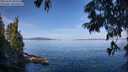 ./images/koeye/fitz-hugh/20250704/fitz-hugh20250704_095510M.jpg