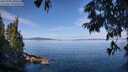 ./images/koeye/fitz-hugh/20250704/fitz-hugh20250704_100510M.jpg