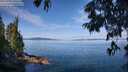 ./images/koeye/fitz-hugh/20250704/fitz-hugh20250704_101511M.jpg