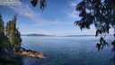 ./images/koeye/fitz-hugh/20250704/fitz-hugh20250704_102010M.jpg