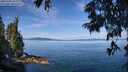 ./images/koeye/fitz-hugh/20250704/fitz-hugh20250704_103012M.jpg