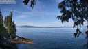 ./images/koeye/fitz-hugh/20250704/fitz-hugh20250704_103510M.jpg