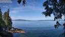 ./images/koeye/fitz-hugh/20250704/fitz-hugh20250704_104010M.jpg