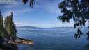 ./images/koeye/fitz-hugh/20250704/fitz-hugh20250704_105010M.jpg