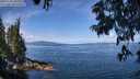 ./images/koeye/fitz-hugh/20250704/fitz-hugh20250704_105510M.jpg