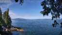 ./images/koeye/fitz-hugh/20250704/fitz-hugh20250704_110008M.jpg