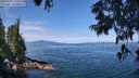 ./images/koeye/fitz-hugh/20250704/fitz-hugh20250704_110509M.jpg