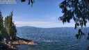 ./images/koeye/fitz-hugh/20250704/fitz-hugh20250704_112510M.jpg