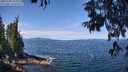 ./images/koeye/fitz-hugh/20250704/fitz-hugh20250704_113011M.jpg
