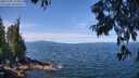 ./images/koeye/fitz-hugh/20250704/fitz-hugh20250704_113511M.jpg