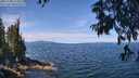 ./images/koeye/fitz-hugh/20250704/fitz-hugh20250704_114010M.jpg