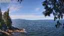 ./images/koeye/fitz-hugh/20250704/fitz-hugh20250704_114511M.jpg