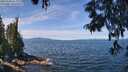 ./images/koeye/fitz-hugh/20250704/fitz-hugh20250704_115011M.jpg