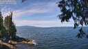 ./images/koeye/fitz-hugh/20250704/fitz-hugh20250704_115510M.jpg