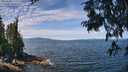./images/koeye/fitz-hugh/20250704/fitz-hugh20250704_120012M.jpg