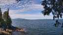 ./images/koeye/fitz-hugh/20250704/fitz-hugh20250704_120510M.jpg