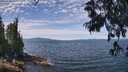 ./images/koeye/fitz-hugh/20250704/fitz-hugh20250704_121009M.jpg