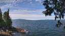 ./images/koeye/fitz-hugh/20250704/fitz-hugh20250704_122011M.jpg