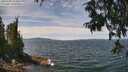 ./images/koeye/fitz-hugh/20250704/fitz-hugh20250704_123510M.jpg