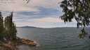 ./images/koeye/fitz-hugh/20250704/fitz-hugh20250704_125506M.jpg