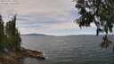 ./images/koeye/fitz-hugh/20250704/fitz-hugh20250704_130012M.jpg