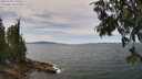 ./images/koeye/fitz-hugh/20250704/fitz-hugh20250704_130511M.jpg