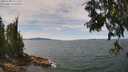 ./images/koeye/fitz-hugh/20250704/fitz-hugh20250704_131510M.jpg