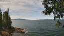 ./images/koeye/fitz-hugh/20250704/fitz-hugh20250704_132009M.jpg
