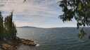 ./images/koeye/fitz-hugh/20250704/fitz-hugh20250704_132510M.jpg