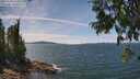 ./images/koeye/fitz-hugh/20250704/fitz-hugh20250704_135009M.jpg